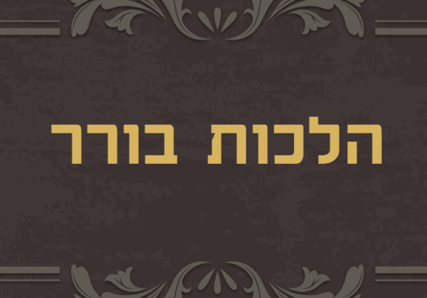 הלכות בורר