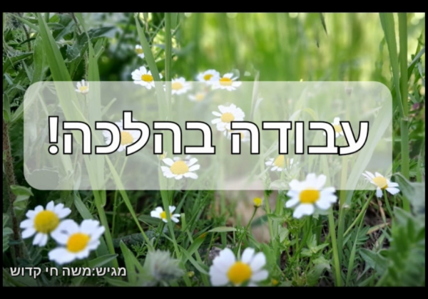 הלכות מעקה